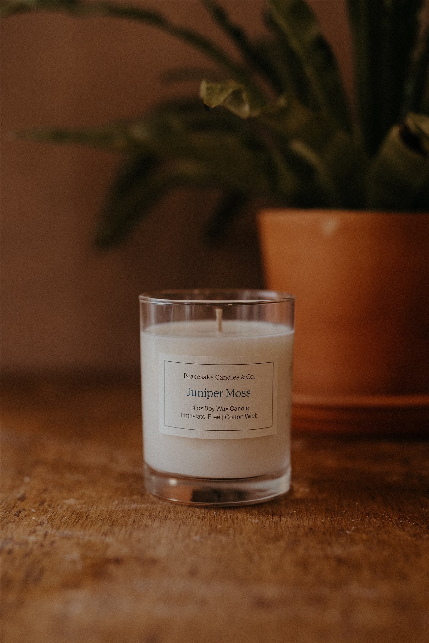 Juniper Moss