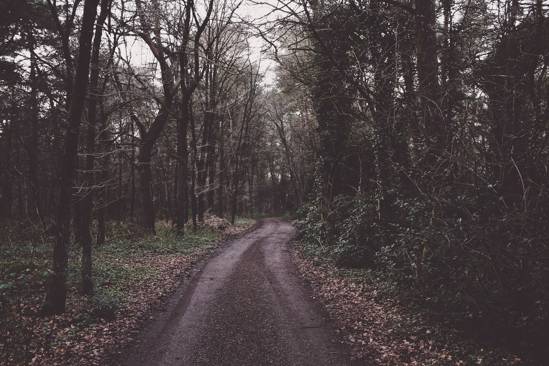 Sustainable Road Tripping