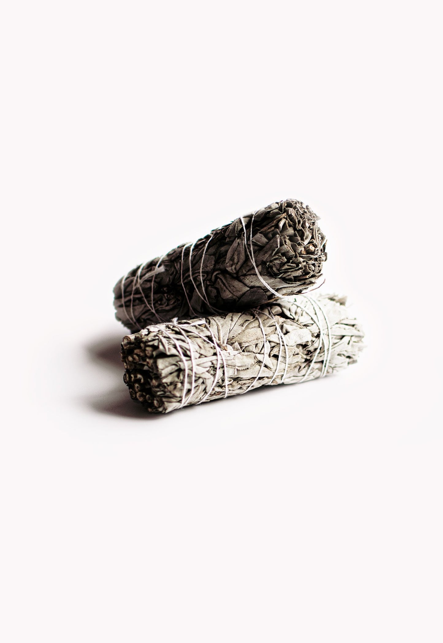Organic California White Sage — 1 pc