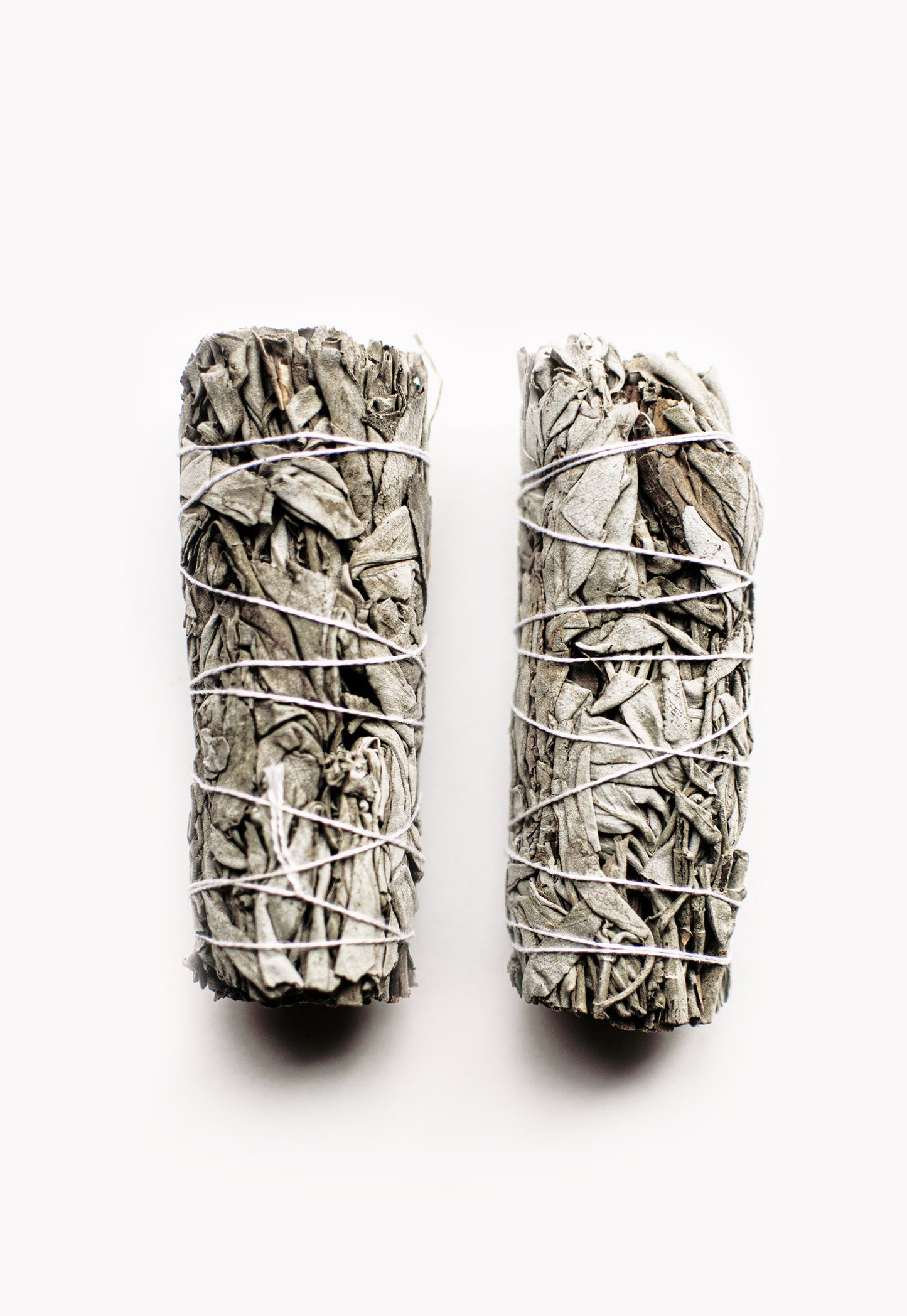Organic California White Sage — 1 pc